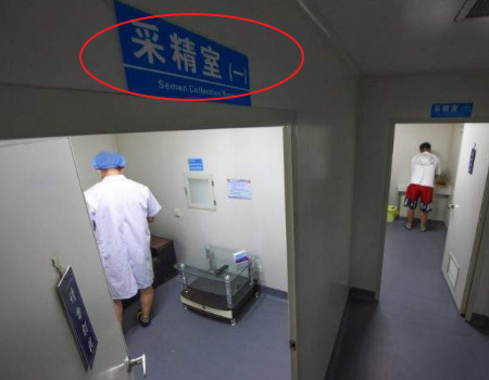 代孕中介