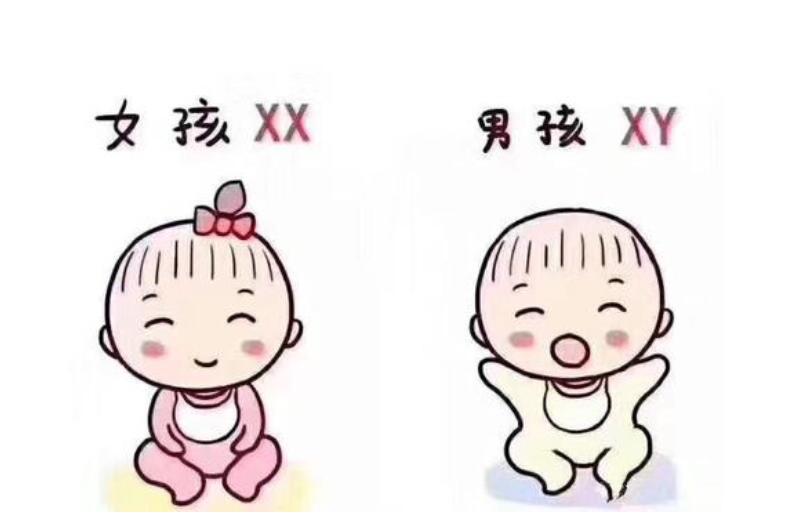 代孕产子