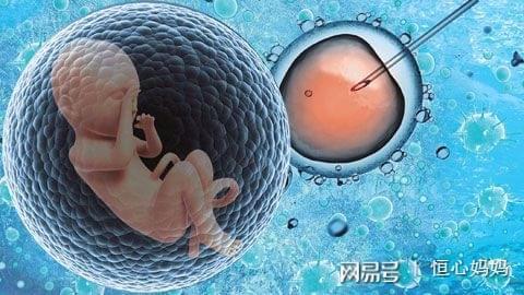 代孕中介退出