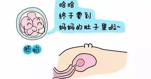 代孕产子