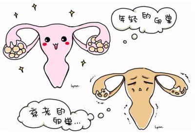代孕中美泰